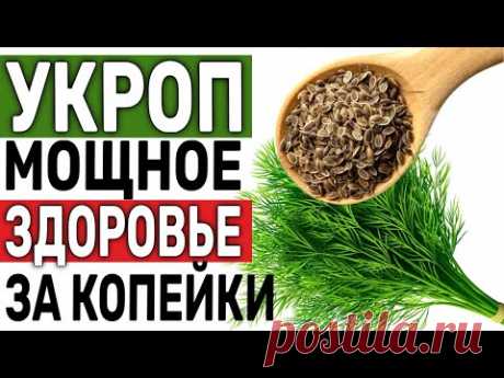СЕМЕНА УКРОПА: МОЩНАЯ ПОЛЬЗА ДЛЯ ЗДОРОВЬЯ ЗА КОПЕЙКИ!