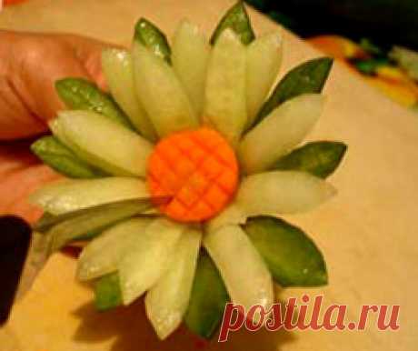 зелень для украшение блюд: 10 тыс изображений найдено в Яндекс.Картинках