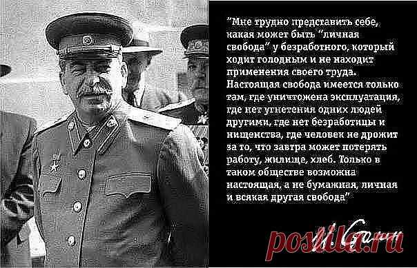 Эдельвейс . - Ростов-на-Дону, Ростовская обл., Россия, 49 лет на Мой Мир@Mail.ru