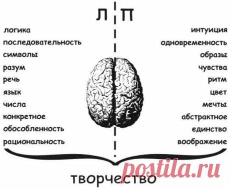 Развитие мозга — шаг на пути к здоровой и счастливой жизни. Самое важное развивать оба полушария и именно бесповоротное вязание легко и просто поможет в этом.
