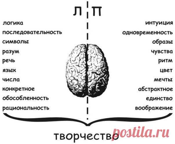 Развитие мозга — шаг на пути к здоровой и счастливой жизни. Самое важное развивать оба полушария и именно бесповоротное вязание легко и просто поможет в этом.