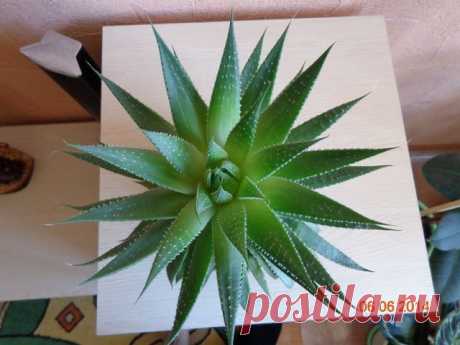 Владимир Клец
66 лет, Россия, г. Рубцовск (Алтайский край)
все его фото