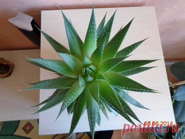 Владимир Клец
66 лет, Россия, г. Рубцовск (Алтайский край)
все его фото