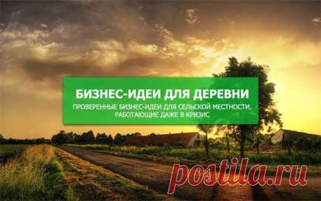 Как заработать миллион рублей в деревне | Деревенские заметки | Яндекс Дзен