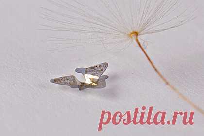 Созданы самые маленькие в мире летательные аппараты. Созданы самые маленькие в мире летательные аппараты — разработанные американскими, китайскими и корейскими исследователями микрочипы размером около миллиметра способы к пассивному полету как у семян. Предполагается, что разбрасываемые с самолетов или зданий устройства помогут мониторить окружающую среду и людей.