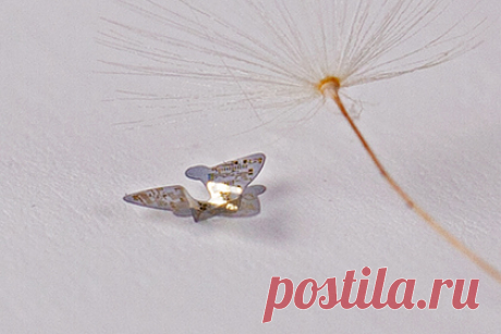 Созданы самые маленькие в мире летательные аппараты. Созданы самые маленькие в мире летательные аппараты — разработанные американскими, китайскими и корейскими исследователями микрочипы размером около миллиметра способы к пассивному полету как у семян. Предполагается, что разбрасываемые с самолетов или зданий устройства помогут мониторить окружающую среду и людей.