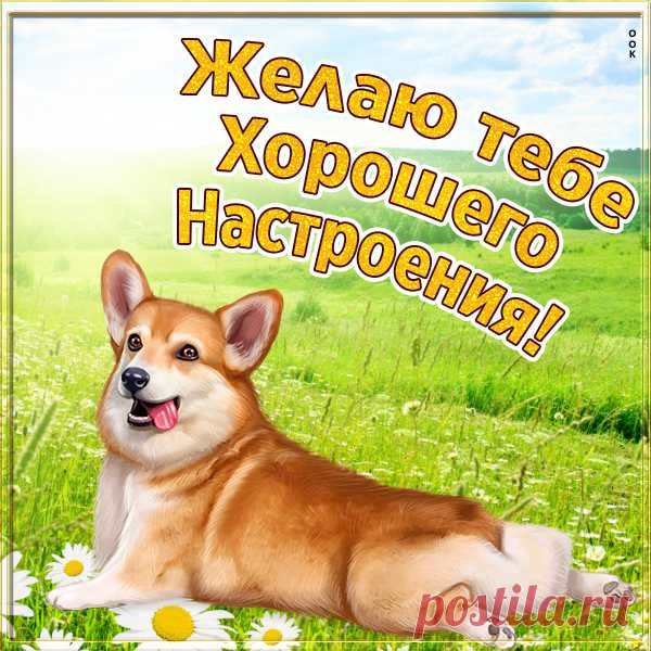 Картинка хорошего настроения на весь день