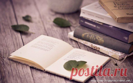 4 отличные книги по интеллектуальному развитию.
