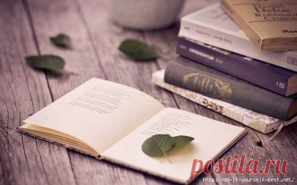 4 отличные книги по интеллектуальному развитию.