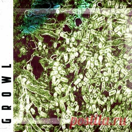 Who Saw Her Die? - Growl (EP) (2025) 320kbps / FLAC