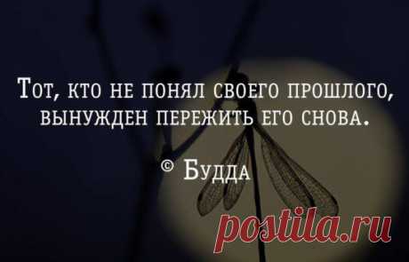 (31) Одноклассники