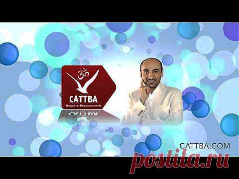 С сурепкой лекарство крепко | Друг пенсионера