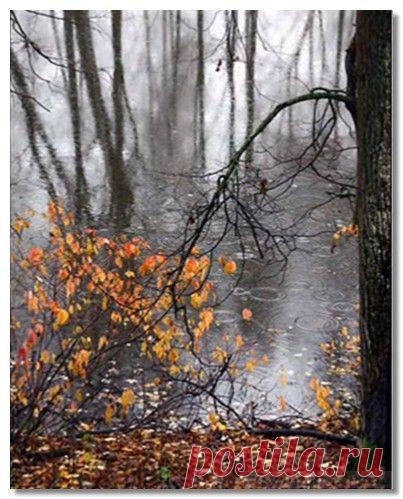 Лирика русского романса. "Лучина"