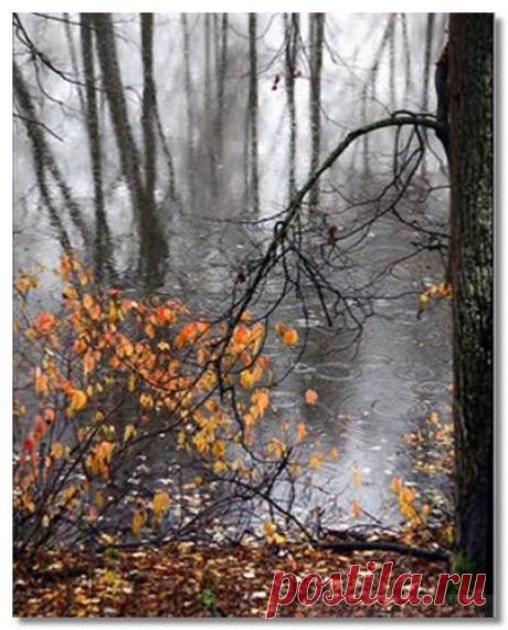 Лирика русского романса. &quot;Лучина&quot;