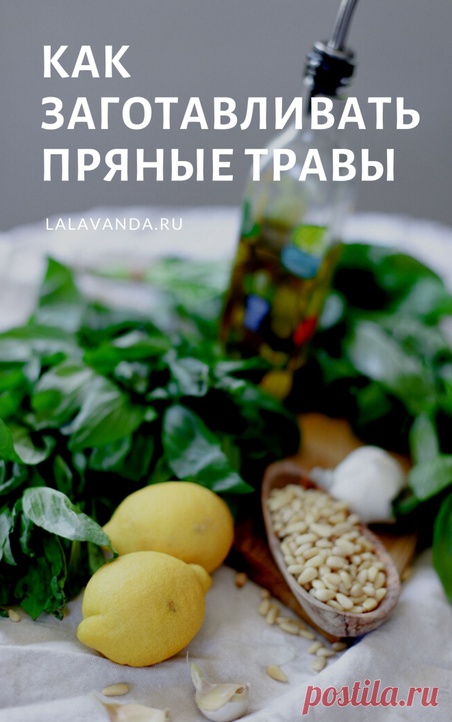 Как заготавливать пряные травы: как сушить, как замораживать (+рецепты) – La Lavanda - Красота и уют хэндмейд