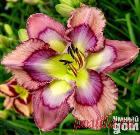 Фотографии на стене сообщества | 32 837 фотографий