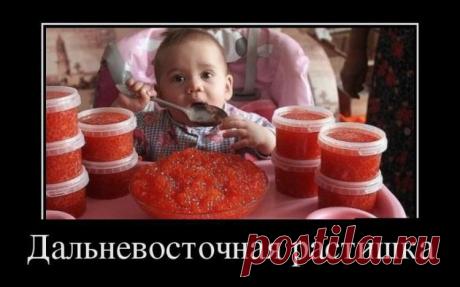 Fishki.net - Сайт хорошего настроения