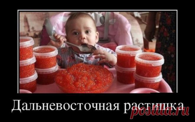 Fishki.net - Сайт хорошего настроения