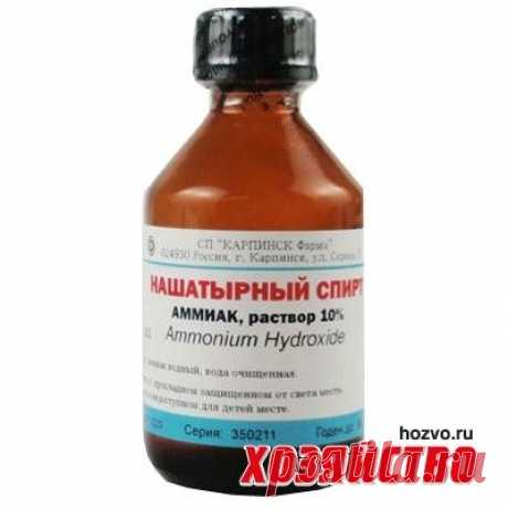 Нашатырь подлечит лук