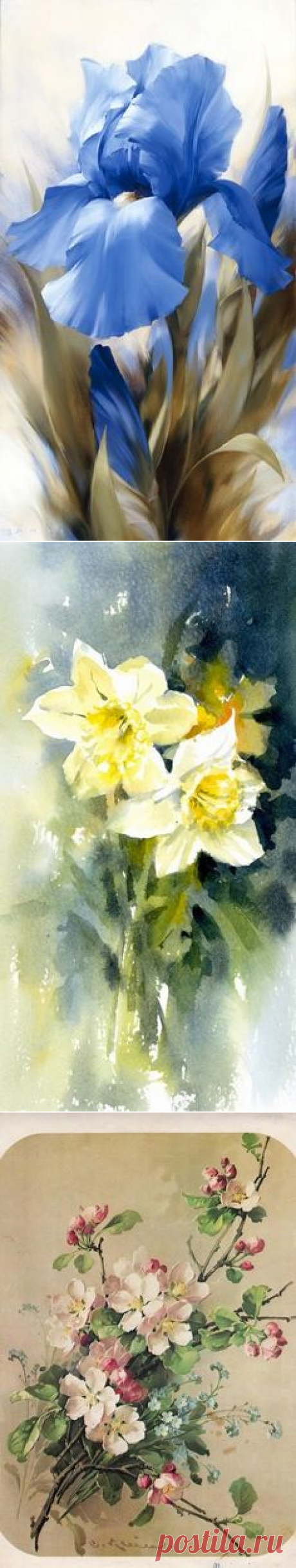 (275) Pinterest