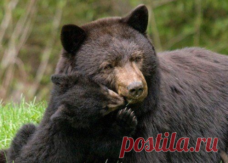 БЕСПЛАТНЫЕ МЕРЦАЮЩИЕ ОТКРЫТКИ И ПЛЕЙКАСТЫ
Татьяна Рахова (Пустовая)