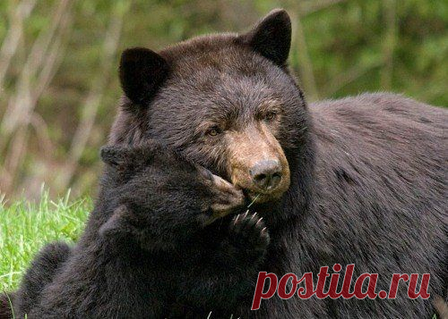БЕСПЛАТНЫЕ МЕРЦАЮЩИЕ ОТКРЫТКИ И ПЛЕЙКАСТЫ
Татьяна Рахова (Пустовая)