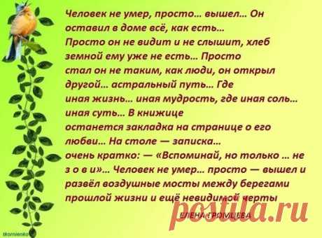 (49) Одноклассники