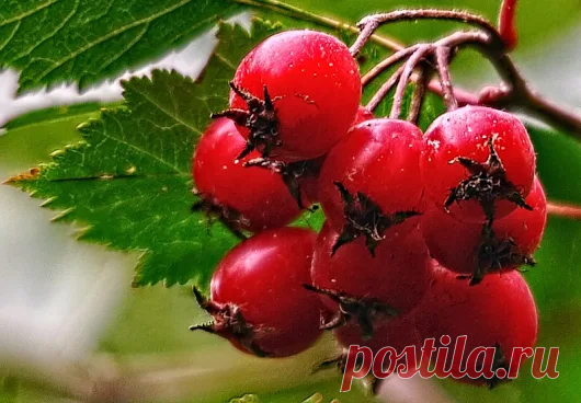 полезное - Google+