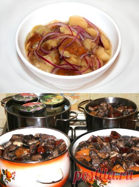 Маринованные белые грибы