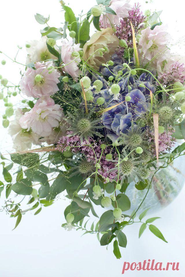 флористика