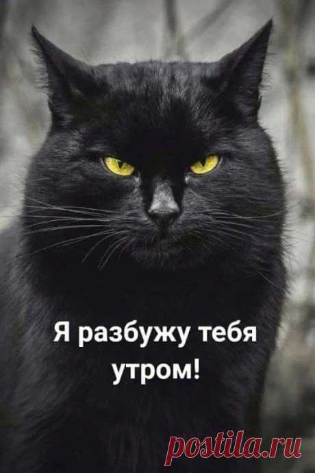 Google+