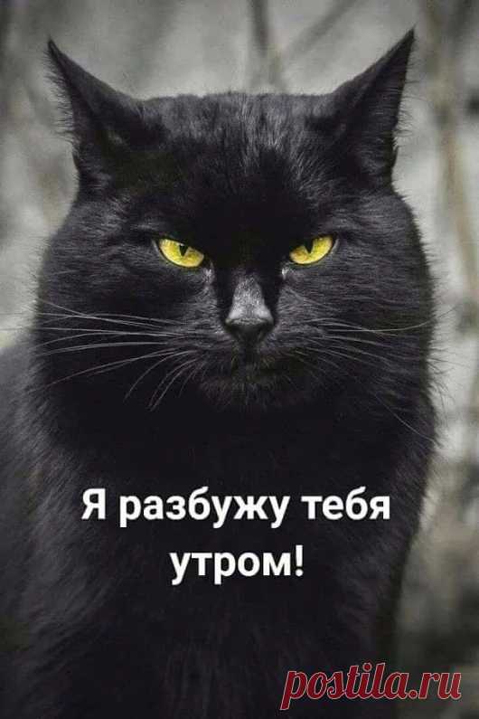 Google+