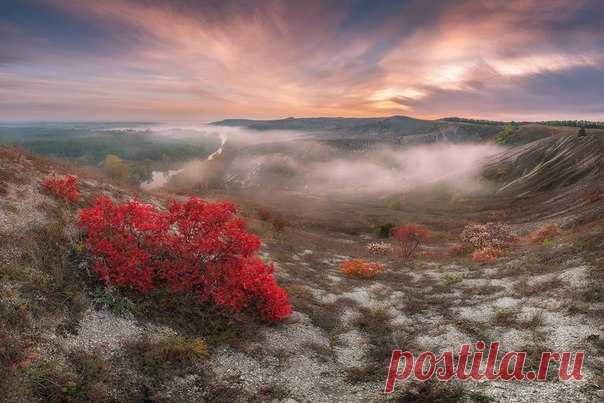 Заповедник Меловая флора, Донецкая область. Автор фото — Dmytro Balkhovitin: