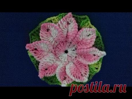 Flores de crochê passo a passo com grafico com Cristina Coelho Alves