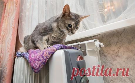 Власти заявили, что почти сутки не знали о ЧП с теплом в Климовске. Вице-губернатор Хромушин объяснил проблему с теплоснабжением тем, что «ситуация была скрыта». Авария произошла в котельной Климовского патронного завода, обеспечивающей теплом микрорайон в Подольске, сам завод — режимный объект