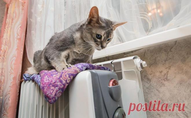 Власти заявили, что почти сутки не знали о ЧП с теплом в Климовске. Вице-губернатор Хромушин объяснил проблему с теплоснабжением тем, что «ситуация была скрыта». Авария произошла в котельной Климовского патронного завода, обеспечивающей теплом микрорайон в Подольске, сам завод — режимный объект