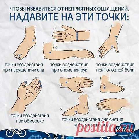 image (480×480)