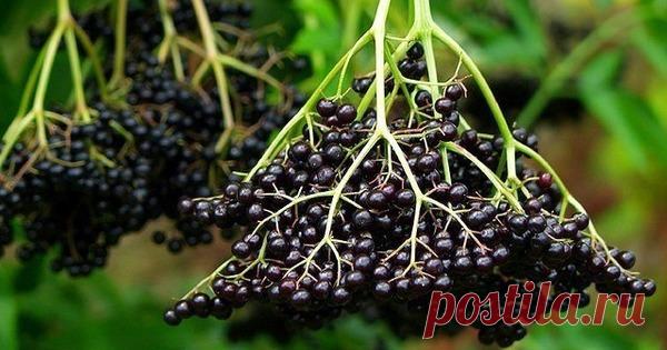 Лекарство от рака