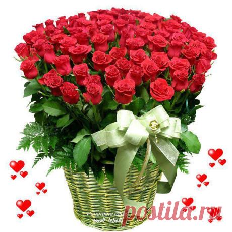 07270463816979844673.jpg (700×700)