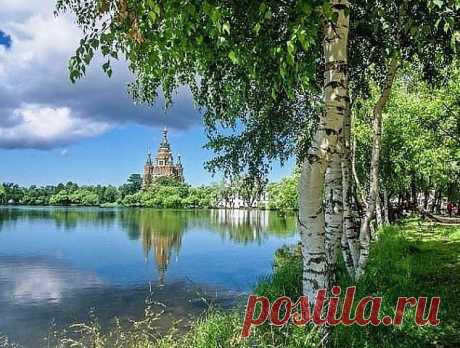 х