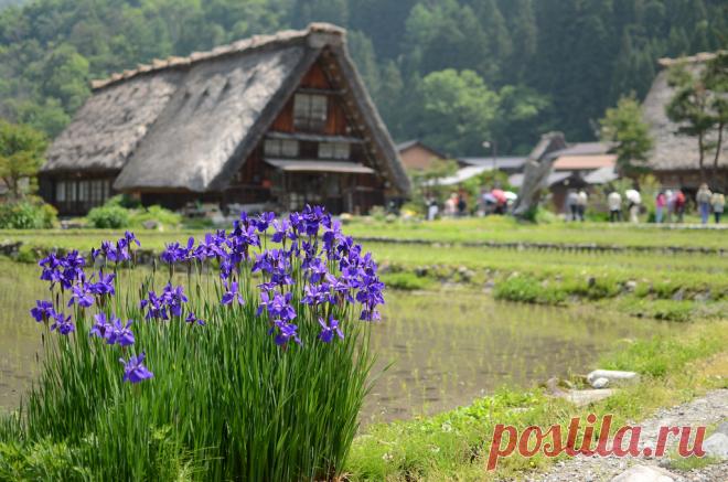 Деревни Сиракава-го и Гокаяма