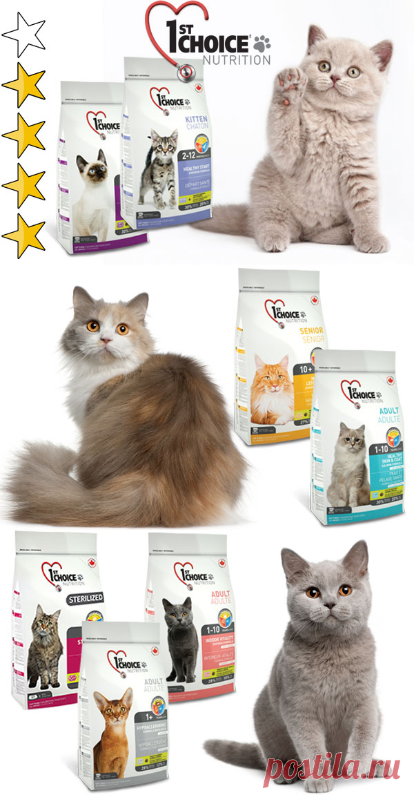 Корм для кошек Фест Чойс (1st choice): обзор, виды, состав, отзывы