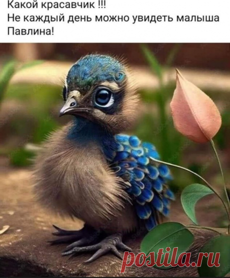 i (634×768)