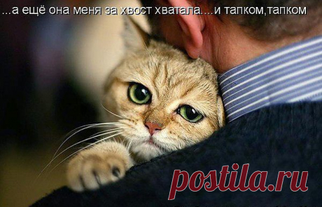 Мой Мир@Mail.Ru
