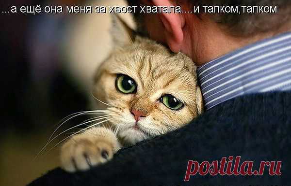 Мой Мир@Mail.Ru