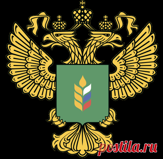 Причины дуплистости клубней картофеля и меры профилактики