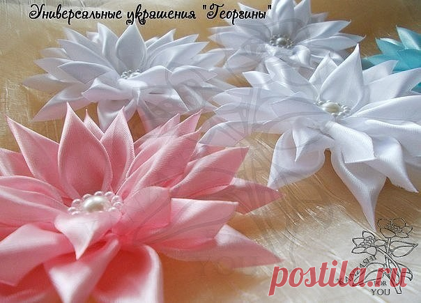 Георгины