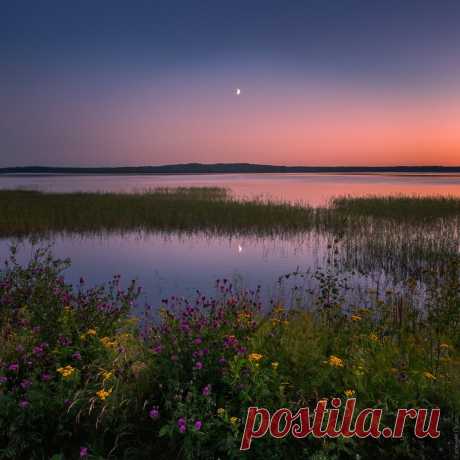 Фотография № 6038682. Фотограф Евгений Луцко