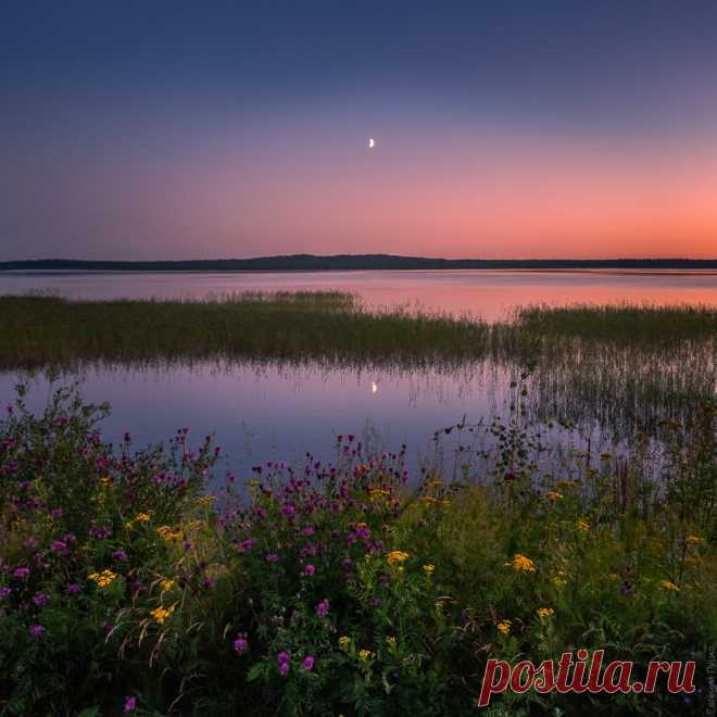 Фотография № 6038682. Фотограф Евгений Луцко