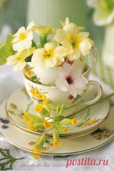 Интересные новости